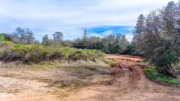 15 Coach Lane, Shingle Springs, CA 95682